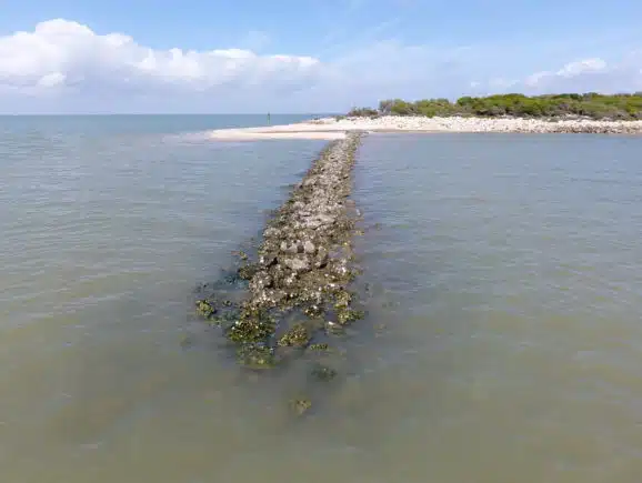 Schicke Point Shoreline Protection