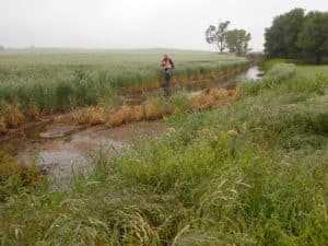 US 64 Ecological and Hazardous Waste Studies
