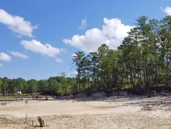Toledo Bend Shoreline Erosion