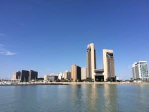 Desalination Siting, Permitting and Owner's Representation
