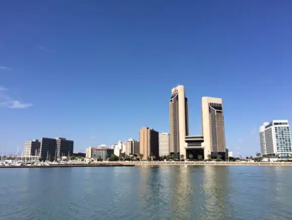 Desalination Siting, Permitting and Owner's Representation