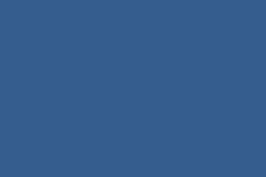 Navy Blue Image