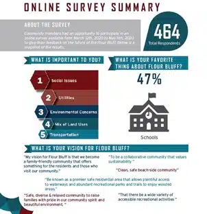 Online Survey Summary Infographic