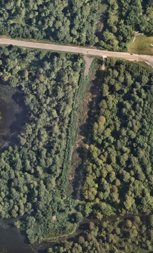 Ariel Forest View