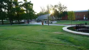 Portrait View Of A Park